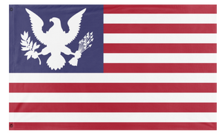 A mockup of the custom flag 'Eagle American Flag' on a white background