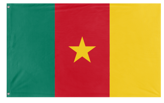 A mockup of the custom flag 'test flag' on a white background