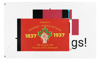 A mockup of the custom flag 'test flag' on a white background