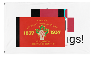 A mockup of the custom flag 'test flag' on a white background