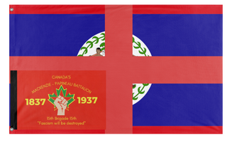 A mockup of the custom flag 'test flag' on a white background