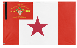 A mockup of the custom flag 'test flag' on a white background