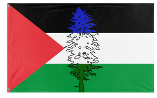 A mockup of the custom flag 'Cascadia for Palestine' on a white background