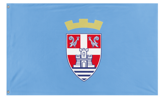 A mockup of the custom flag 'Trebinje flag' on a white background