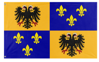 A mockup of the custom flag 'Kingdom Of The Franks  flag' on a white background