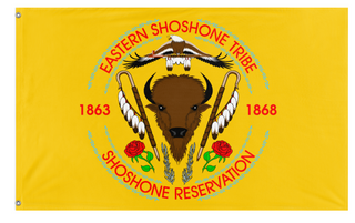 A mockup of the custom flag 'eastern shoshone tribe flag' on a white background