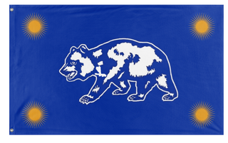 A mockup of the custom flag 'C flag' on a white background