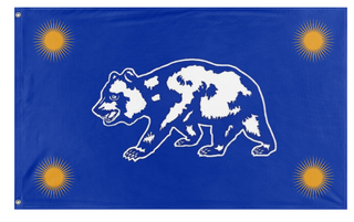 A mockup of the custom flag 'C flag' on a white background