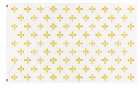 A mockup of the custom flag 'Royal Standard Of France  flag' on a white background