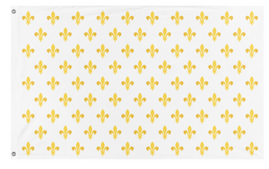 A mockup of the custom flag 'Royal Standard Of France  flag' on a white background