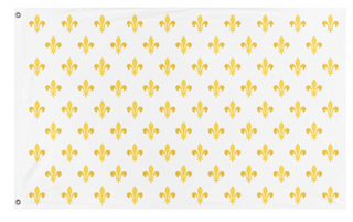A mockup of the custom flag 'Royal Standard Of France  flag' on a white background