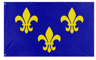 A mockup of the custom flag 'Kingdom Of France  flag' on a white background