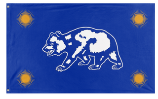 A mockup of the custom flag 'C flag' on a white background