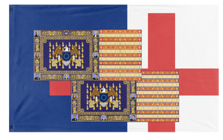 A mockup of the custom flag 'T flag' on a white background