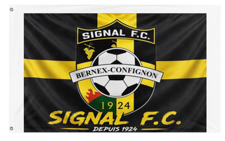A mockup of the custom flag 'Bernex  flag' on a white background