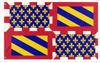 A mockup of the custom flag 'Duchy Of Burgundy flag' on a white background