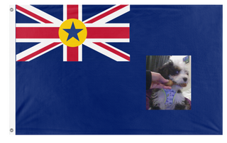 A mockup of the custom flag 'Scoutland flag' on a white background