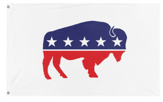 A mockup of the custom flag 'Bison flag' on a white background