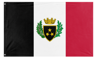 A mockup of the custom flag 'Tricolor City-State flag' on a white background