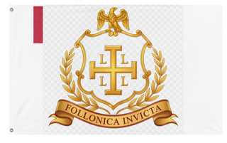 A mockup of the custom flag 'fds flag' on a white background