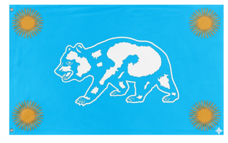 A mockup of the custom flag 'C flag' on a white background