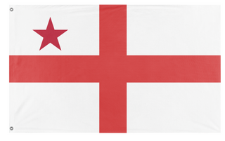 A mockup of the custom flag 'T flag' on a white background