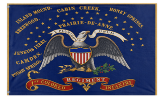 A mockup of the custom flag '1st Colored Regiment flag' on a white background