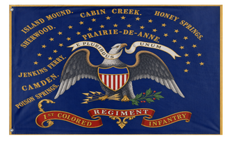 A mockup of the custom flag 'Kansas 1st Colored Regiment flag' on a white background
