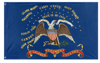 A mockup of the custom flag '1st Colored Regiment Infantry flag' on a white background