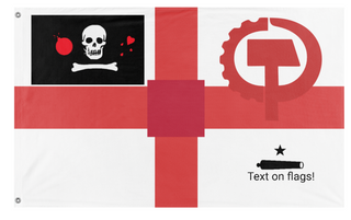 A mockup of the custom flag 'test flag' on a white background