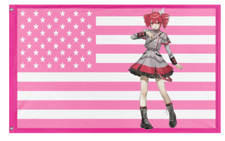 A mockup of the custom flag 'teto america flag' on a white background