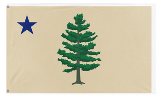 A mockup of the custom flag 'maine flag' on a white background