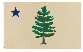 A mockup of the custom flag 'maine flag' on a white background