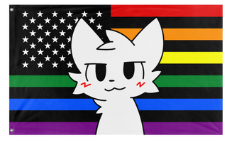 A mockup of the custom flag 'American Boykisser flag' on a white background