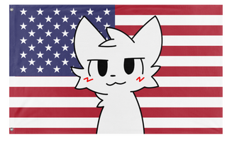 A mockup of the custom flag 'American Boykisser flag' on a white background