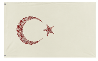A mockup of the custom flag 'turkiye flag' on a white background