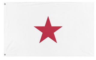 A mockup of the custom flag 'T flag' on a white background