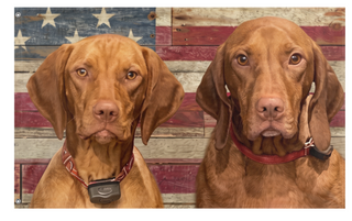 A mockup of the custom flag 'Dogs on US flag' on a white background