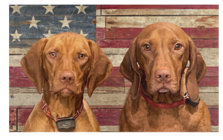 A mockup of the custom flag 'Dogs on US  flag' on a white background