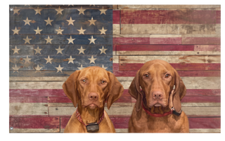 A mockup of the custom flag 'Vizsla United States flag' on a white background