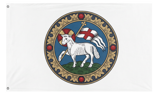 A mockup of the custom flag 'T flag' on a white background