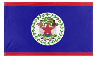 A mockup of the custom flag 'test flag' on a white background