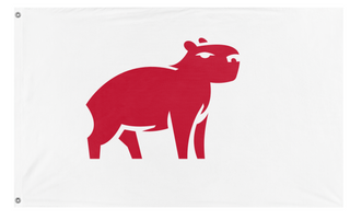 A mockup of the custom flag 'test flag' on a white background