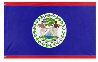 A mockup of the custom flag 'T flag' on a white background