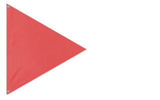 A mockup of the custom flag 'T flag' on a white background