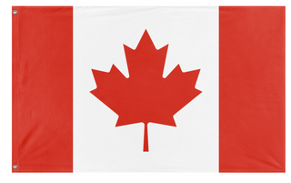 A mockup of the custom flag 'T flag' on a white background