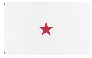 A mockup of the custom flag 'test flag' on a white background