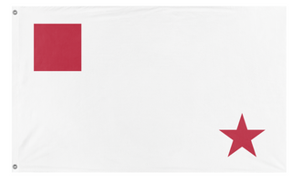 A mockup of the custom flag 'test flag' on a white background
