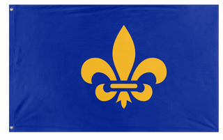 A mockup of the custom flag 'New French flag' on a white background
