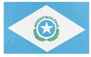 A mockup of the custom flag 'Test Flag' on a white background